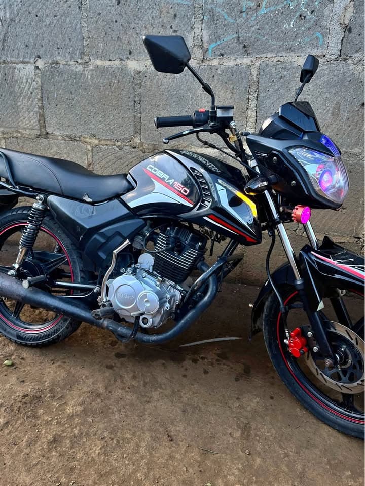 1930 Serpento cobra 150